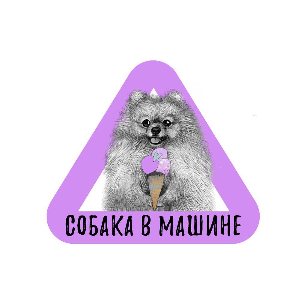 Стикер на машину - собака в машине - шпиц - фиолетовый