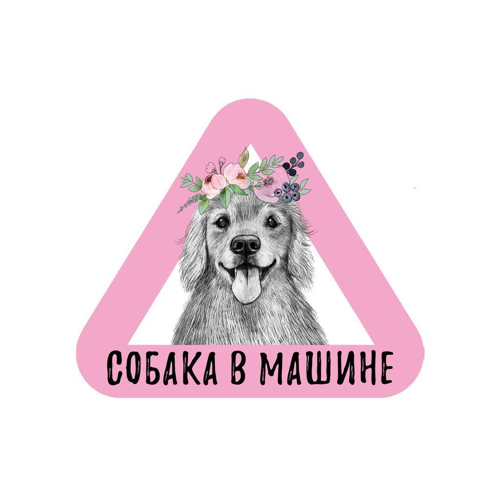 Стикер на машину - собака в машине - золотистый ретривер девочка - розовый