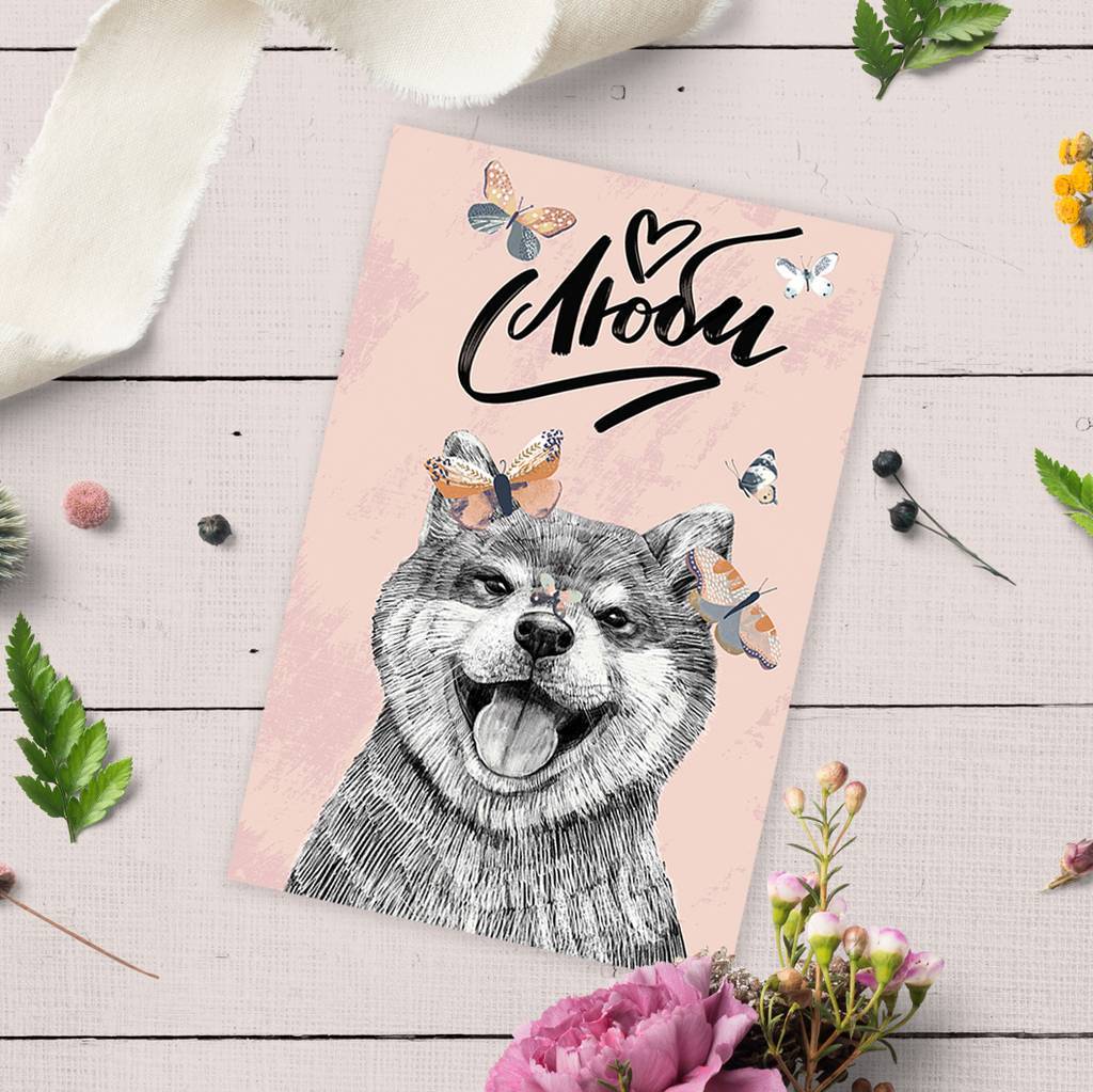 Люби с Сиба-ину - открытка