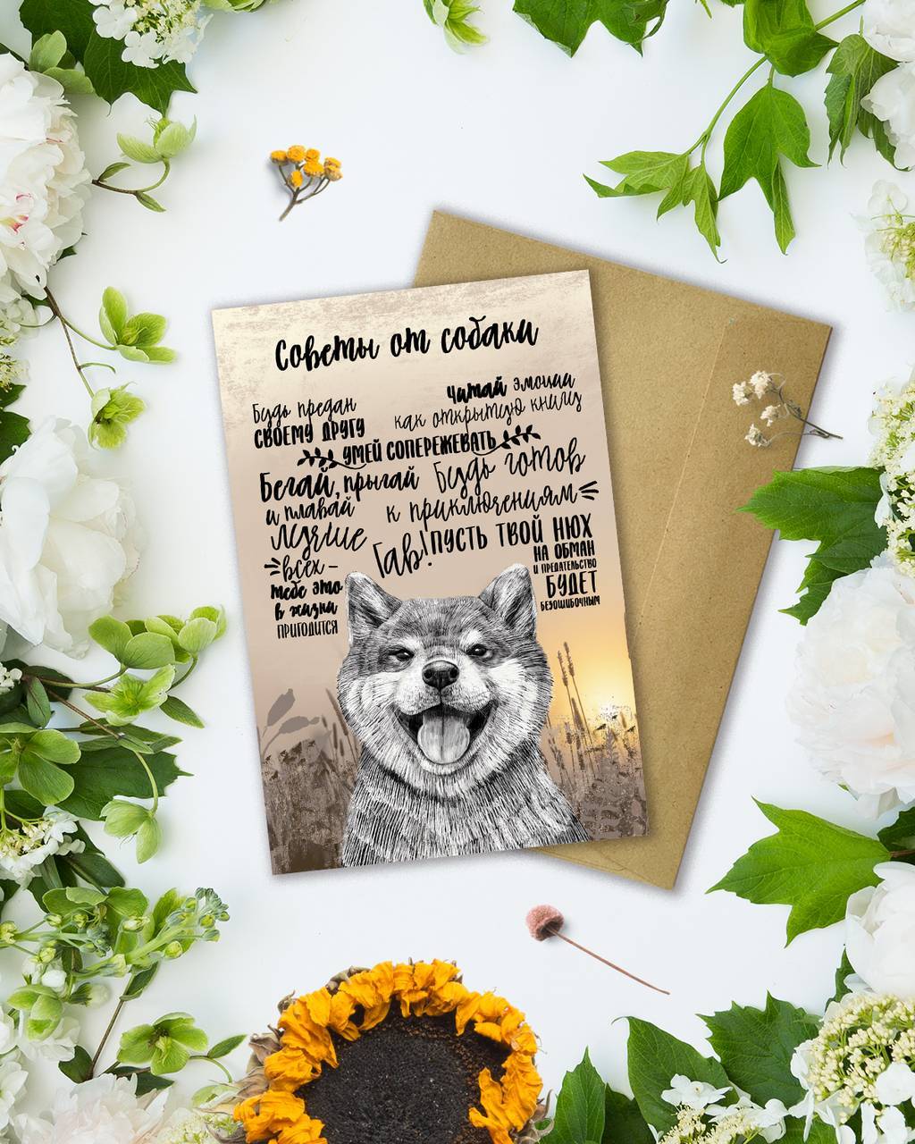 Советы от собаки - открытка
