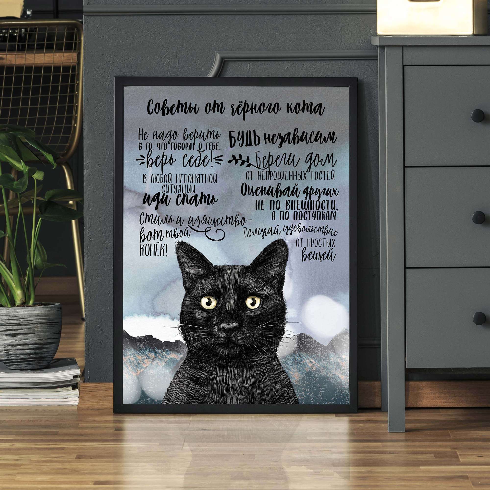 Советы от черного  кота