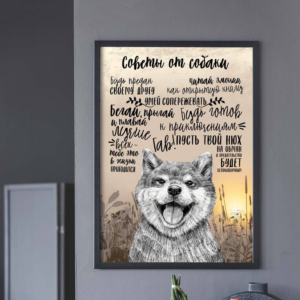 Советы от собаки