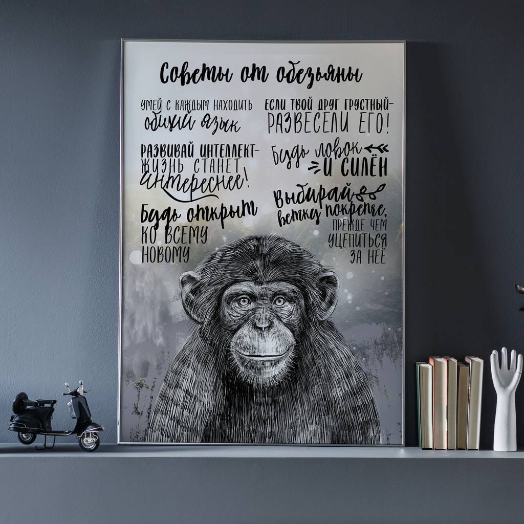 Советы от обезьяны