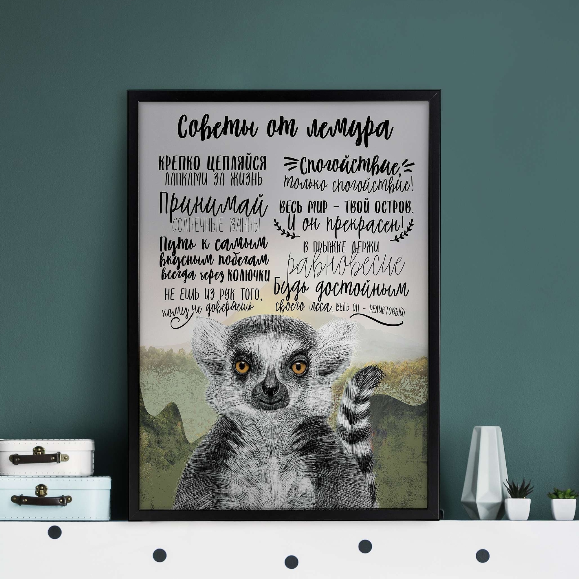 Советы от лемура