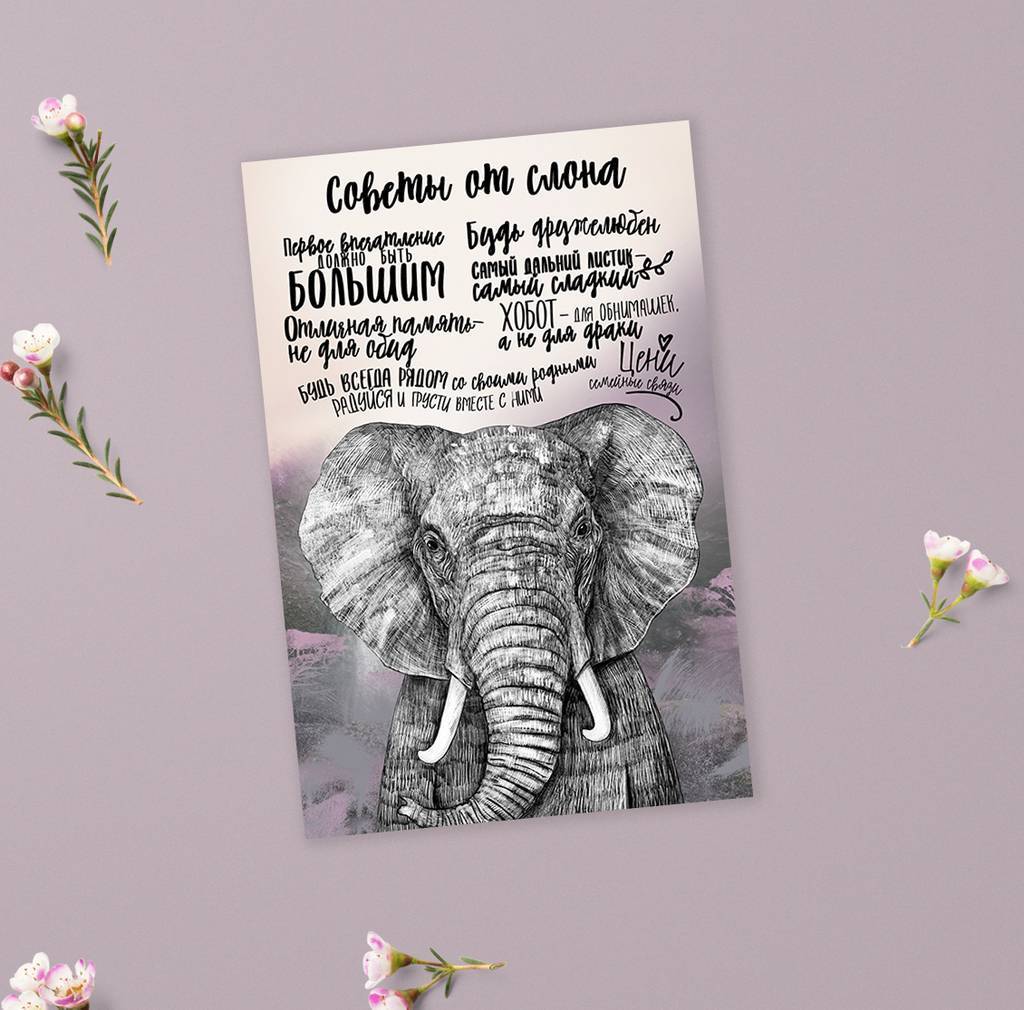Советы от слона - открытка