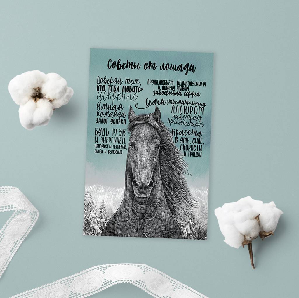 Открытка с советами от лошади