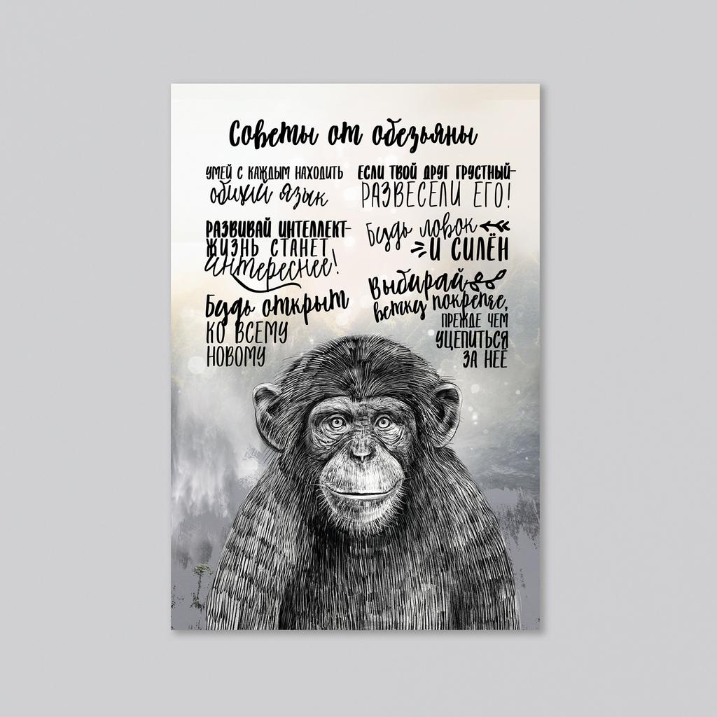 Советы от обезьяны - оптовая открытка - 20 штук
