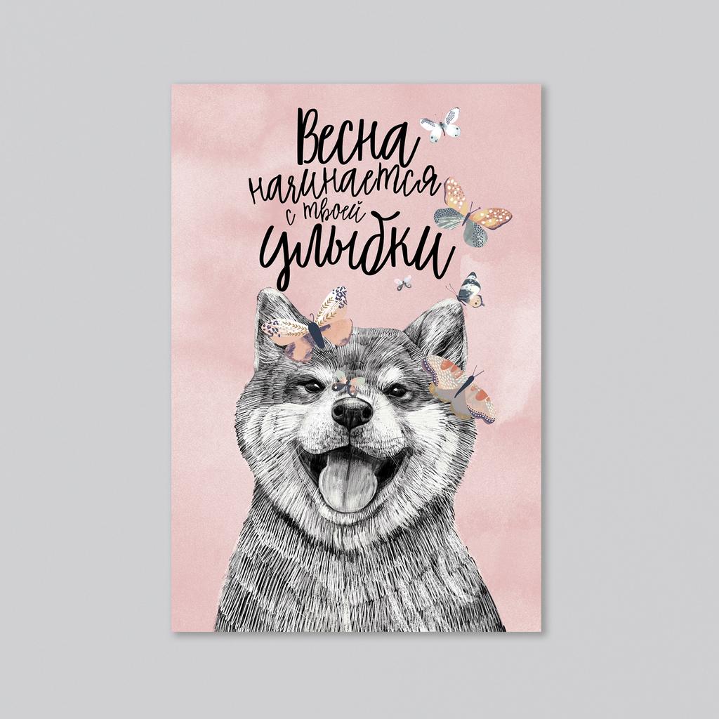 Весна начинается с твоей улыбки! - с сиба ину - оптовая открытка - 20 штук