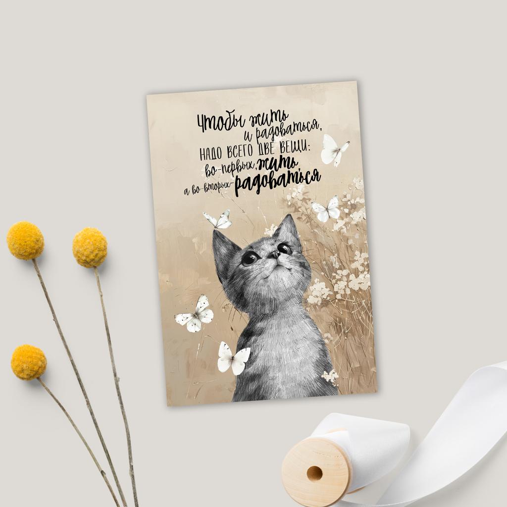 Жить и радоваться с котёнком - открытка