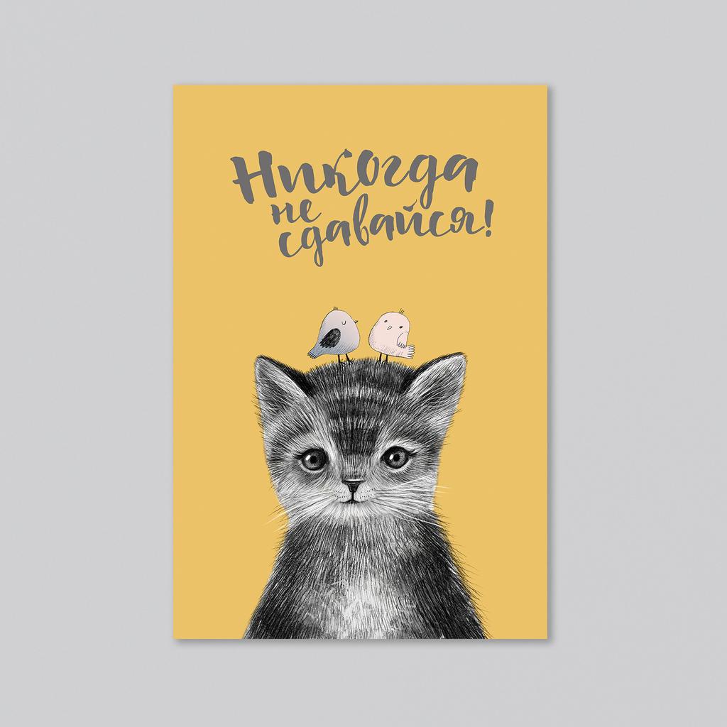 Совет от котёнка - никогда не сдавайся - оптовая открытка - 20 штук