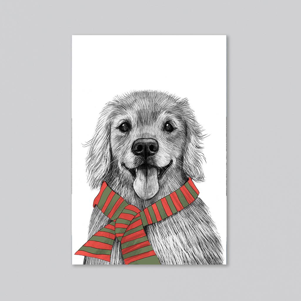 Золотистый ретривер - оптовая открытка - 20 штук