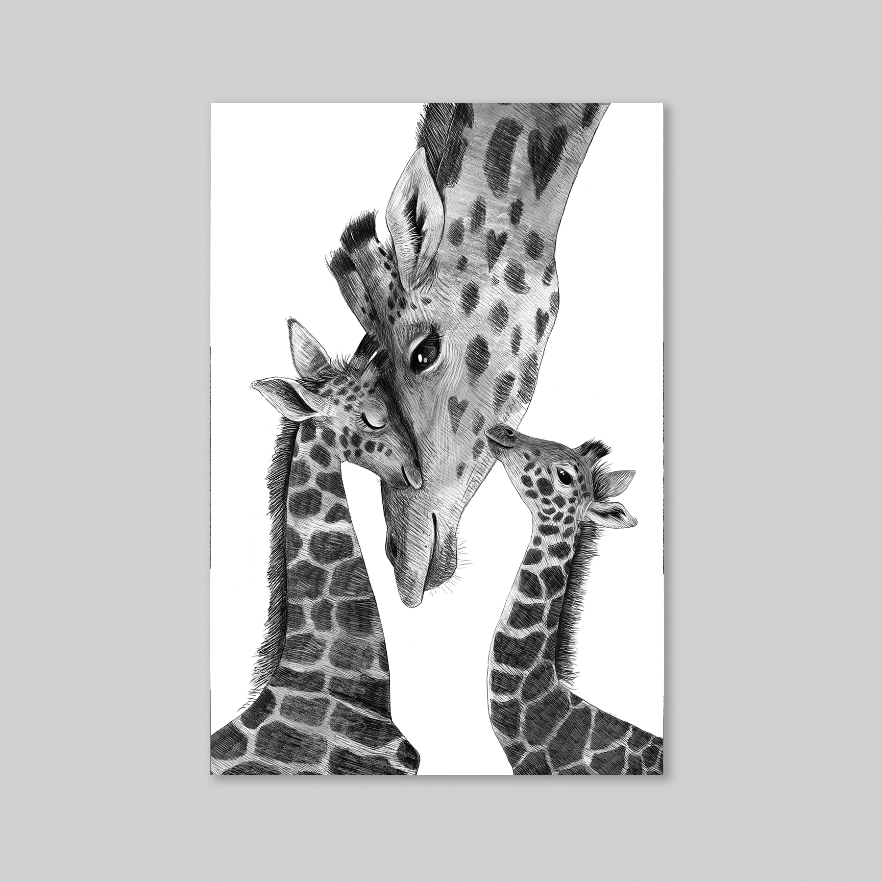 Жирафы - мама с детьми - оптовая открытка - 20 штук