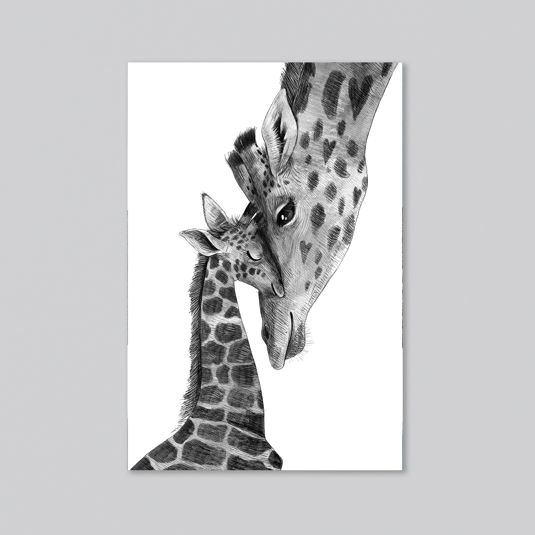 Жирафы - мама с детьми - оптовая открытка - 20 штук