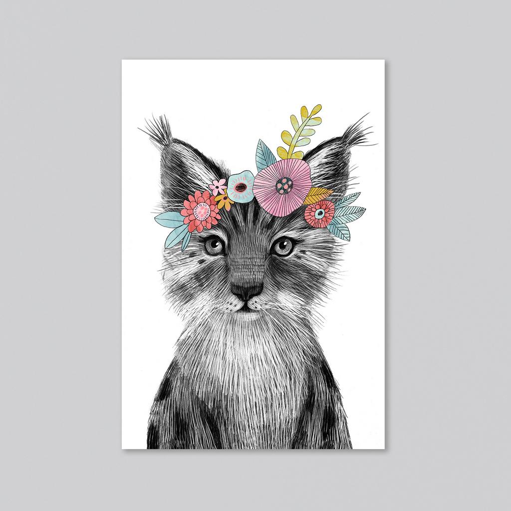 Малышка рысь - оптовая открытка - 20 штук