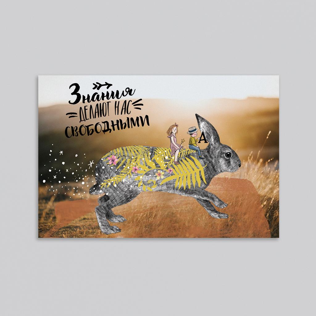 Знания делают нас свободными - оптовая открытка - 20 штук