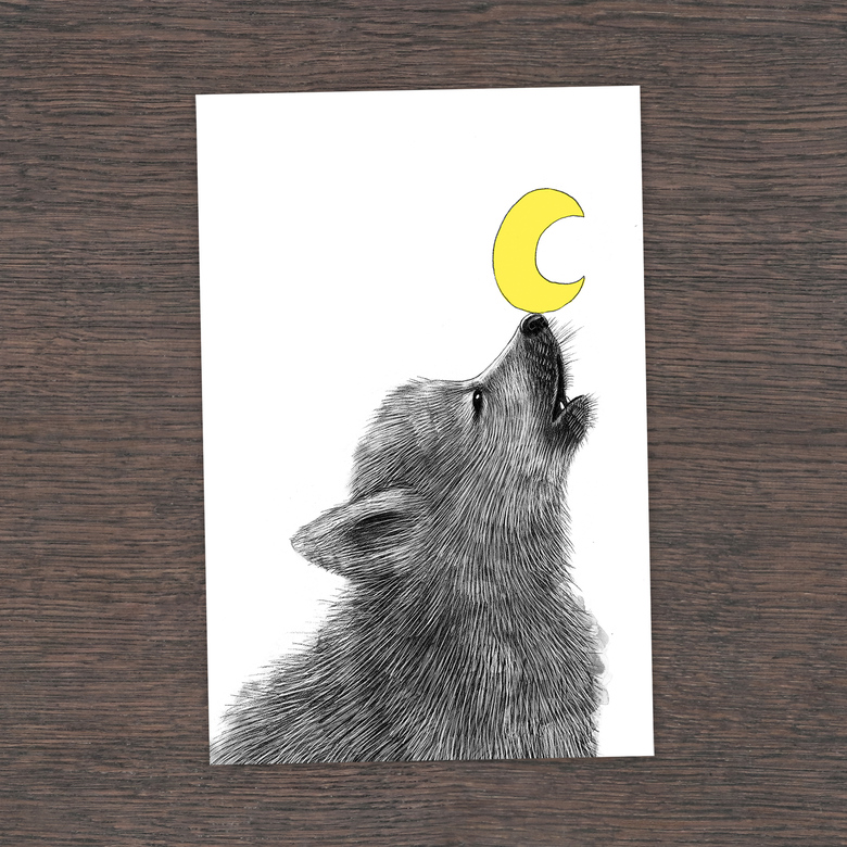 Малыш волчонок - открытка