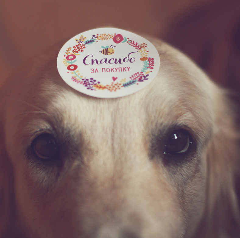 Стикеры спасибо за покупку с цветами