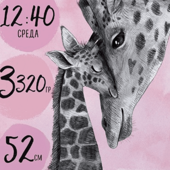 Постер - метрика Мама жираф с ребенком на розовом фоне купить в интернет магазине