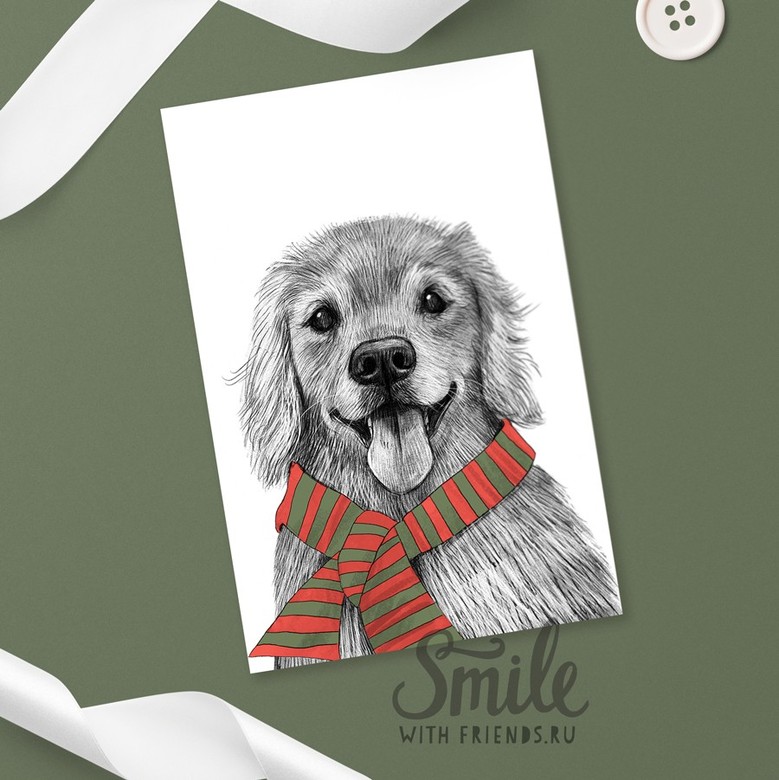 Золотистый ретривер - открытка