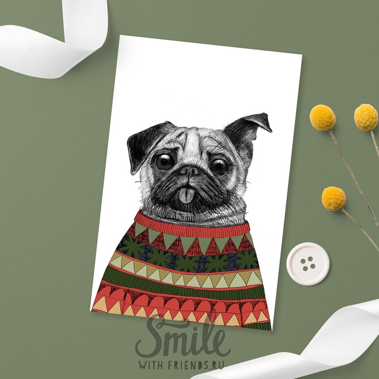 Мопс в свитере - открытка