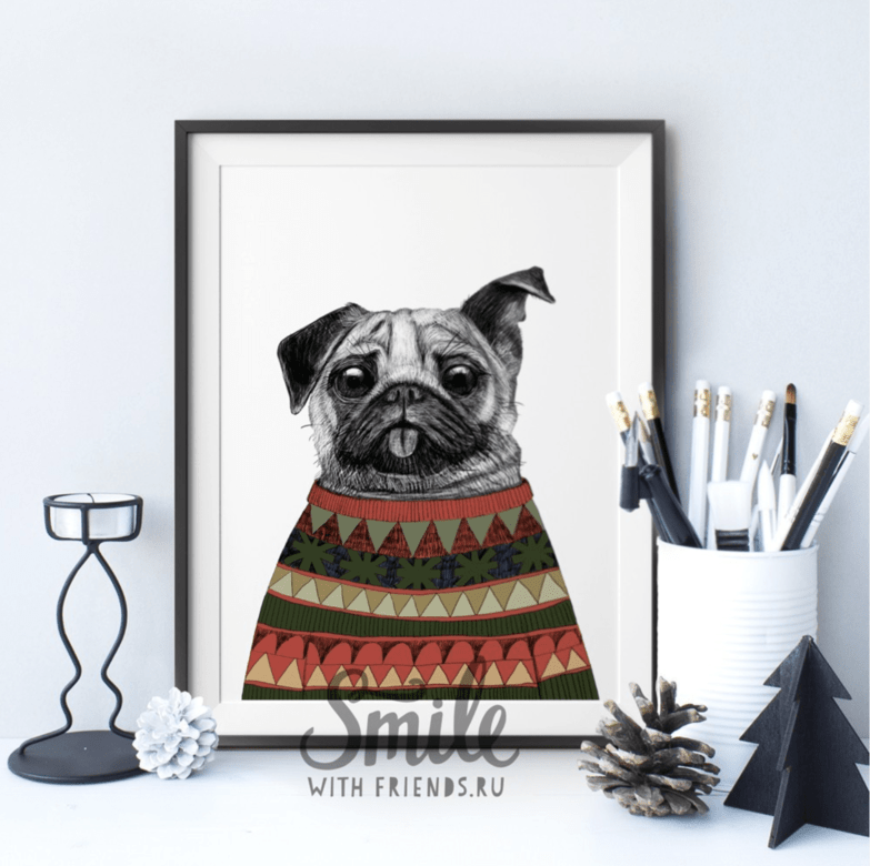 Мопс в свитере