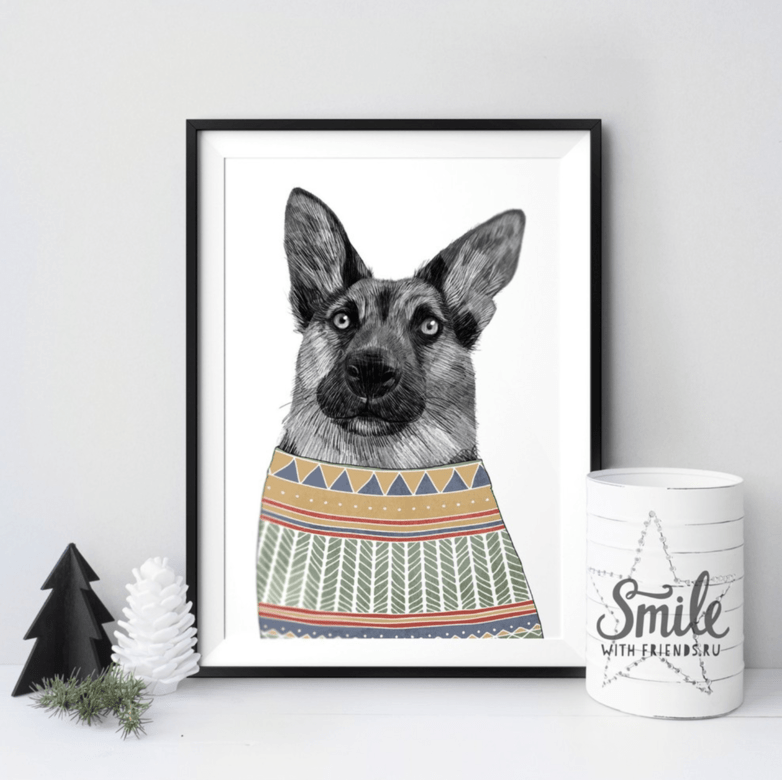 Немецкая овчарка в свитере