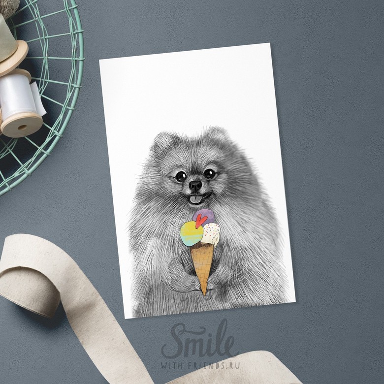 Шпиц с мороженкой - открытка