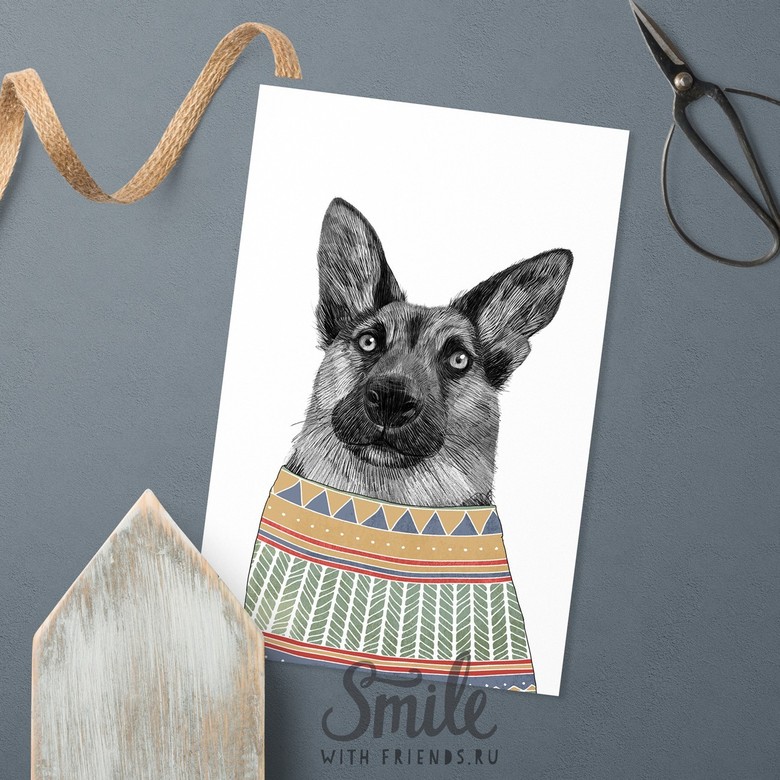 Немецкая овчарка в свитере - открытка