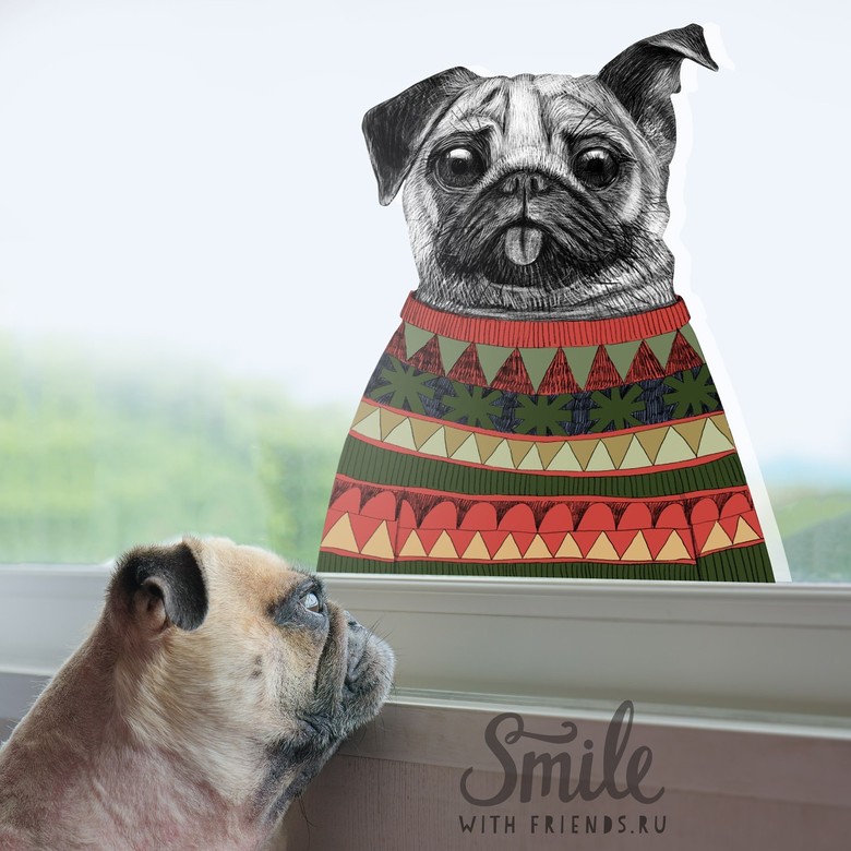 Мопс в свитере - стикер интерьерный
