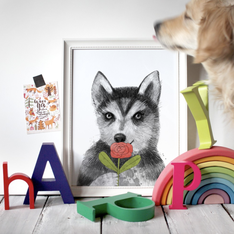 Малыш хаски