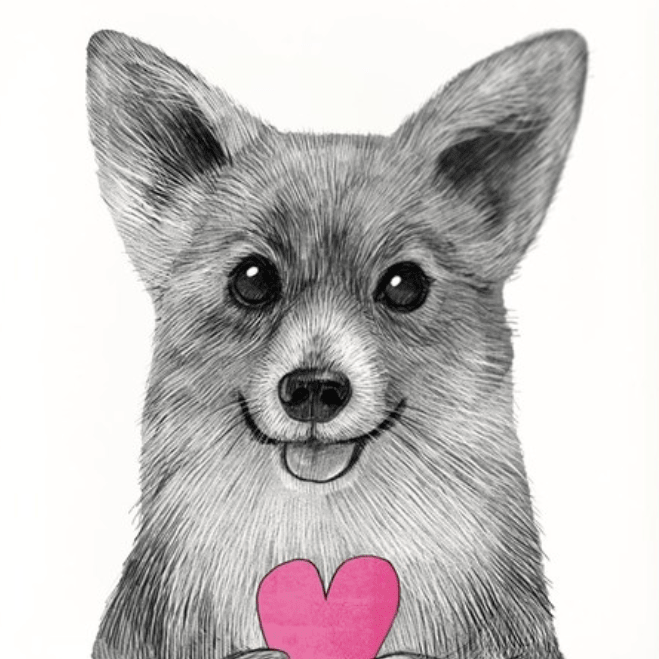 Постер Корги с сердечком купить в интернет магазине