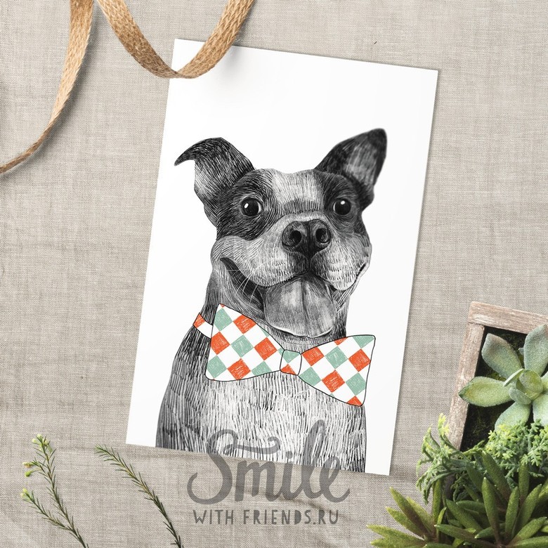 Бульдог - открытка