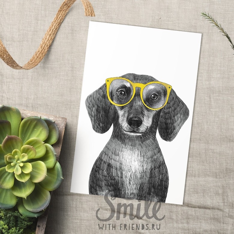 Такса в очках - открытка