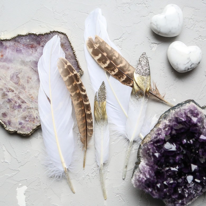 Сет из шести перьев