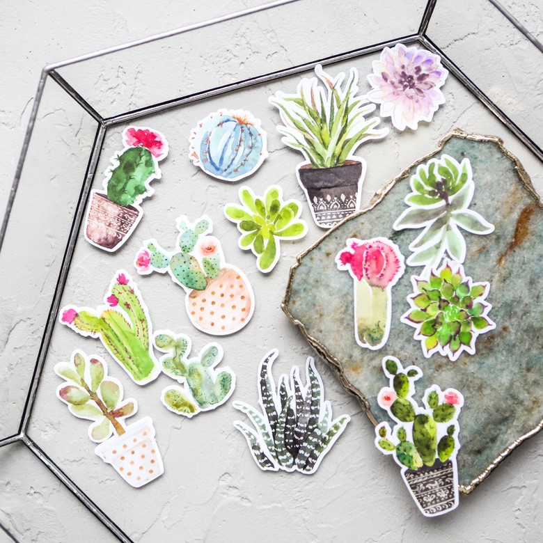 Наклейки "Кактусы"