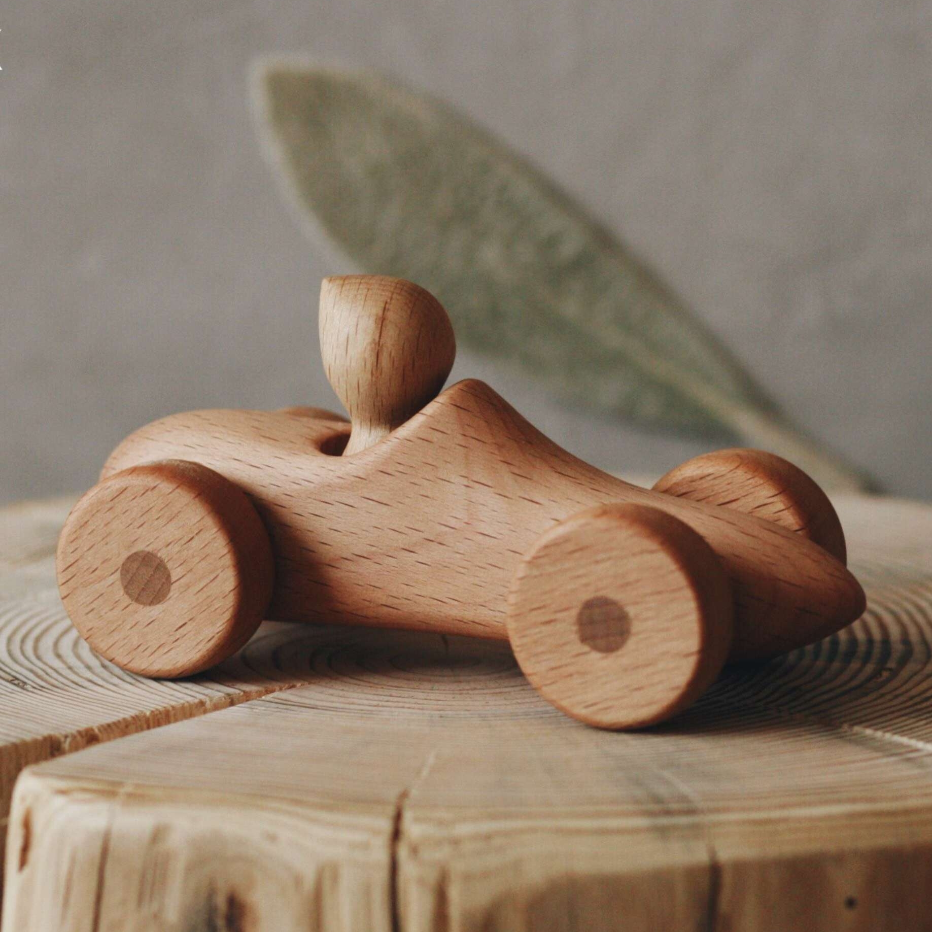 Машинка с пилотом