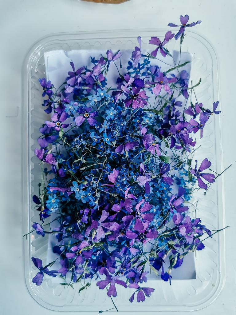 МК Сушка цветов