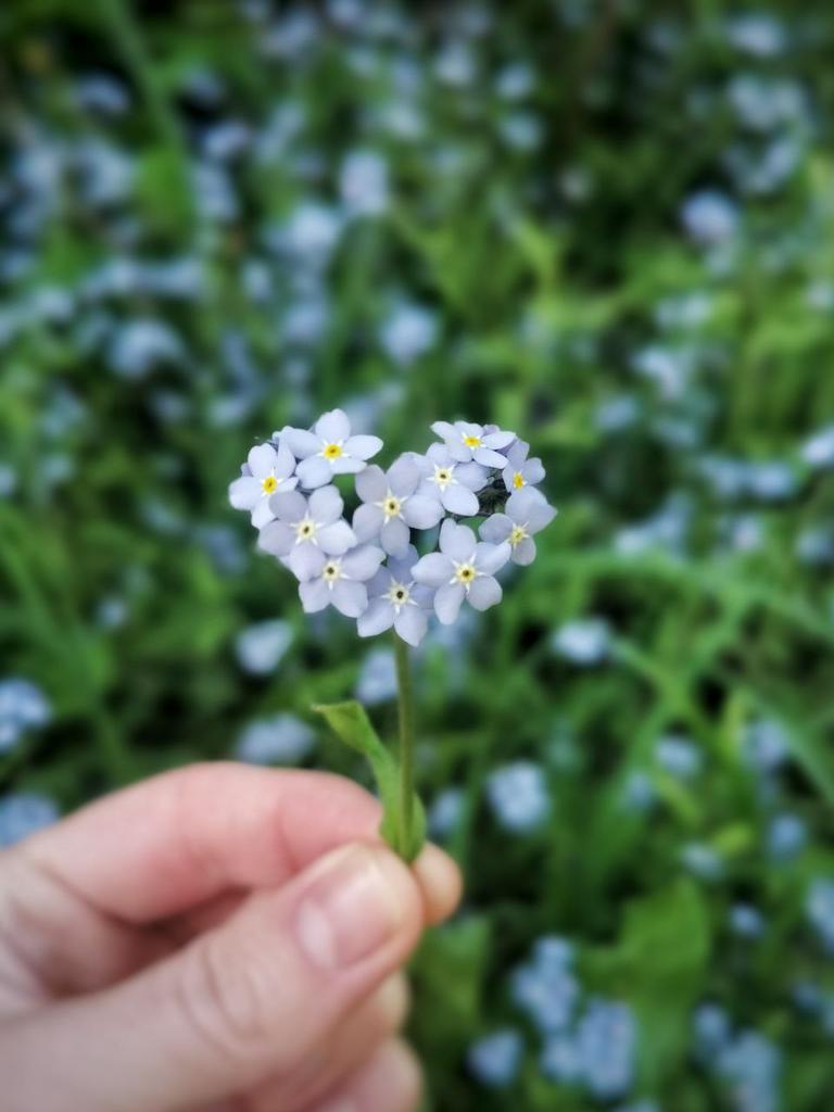 Марафон "Сушим вместе!"