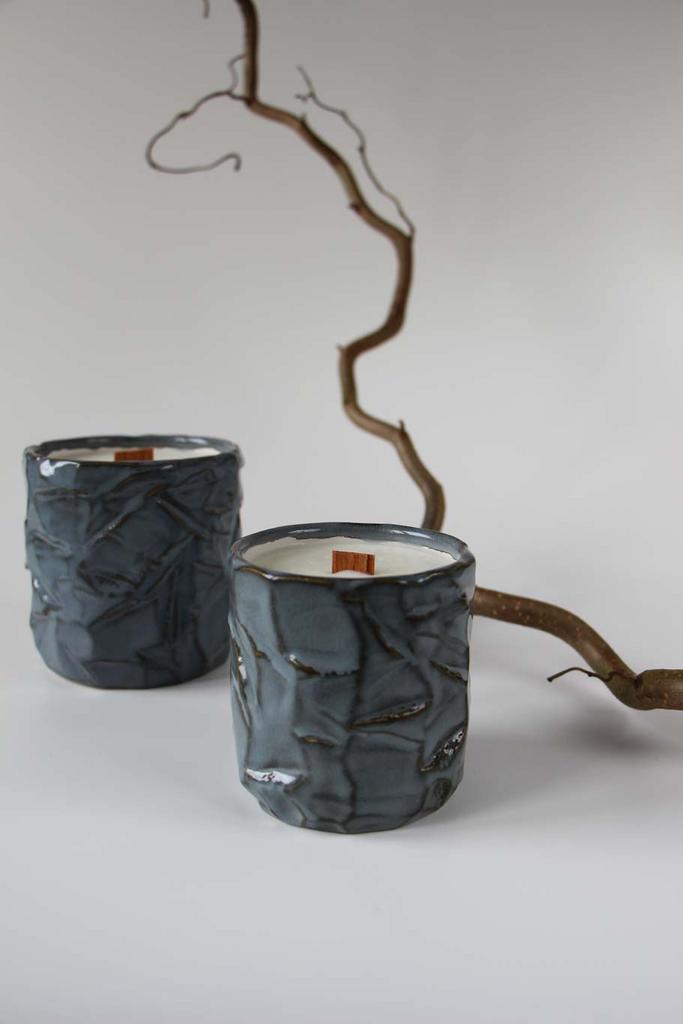 Секвойя и мох