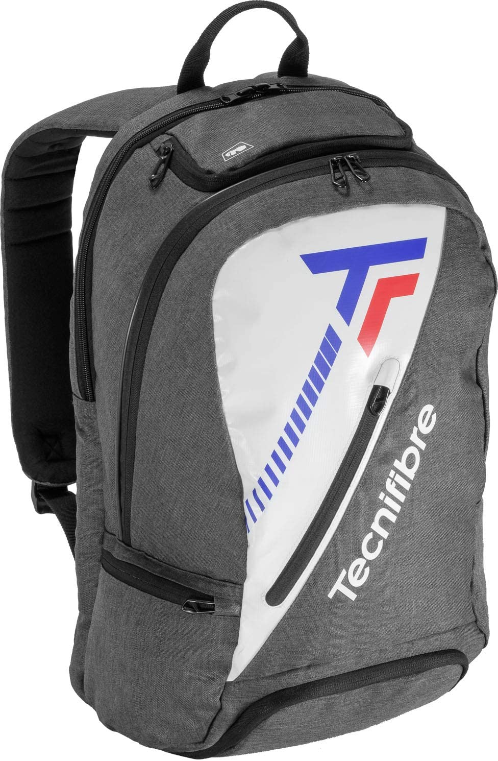 Теннисный рюкзак Tecnifibre Team Icon Backpack год 2020