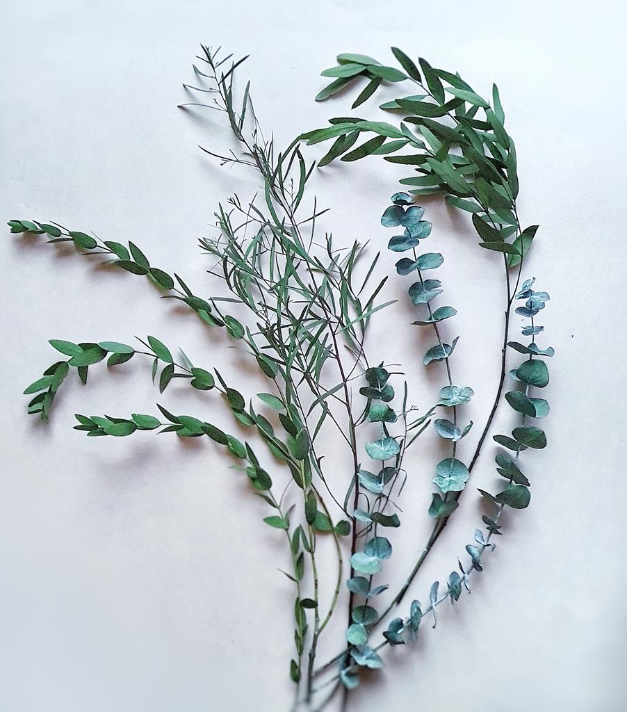 МК Стабилизация срезки