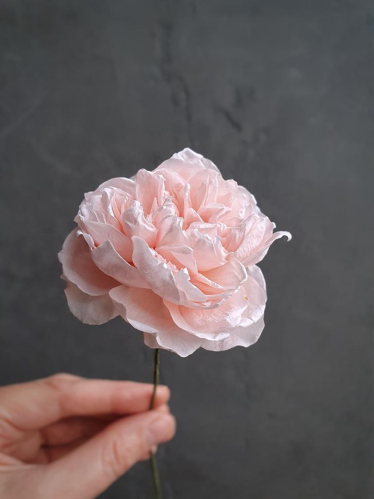 Авторский курс по раскрытию пионовидной розы