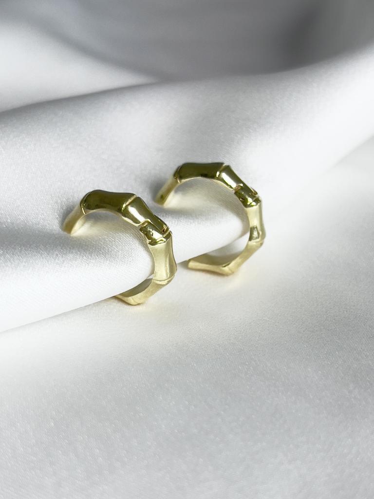Earrings "Hoops bamboo"  II