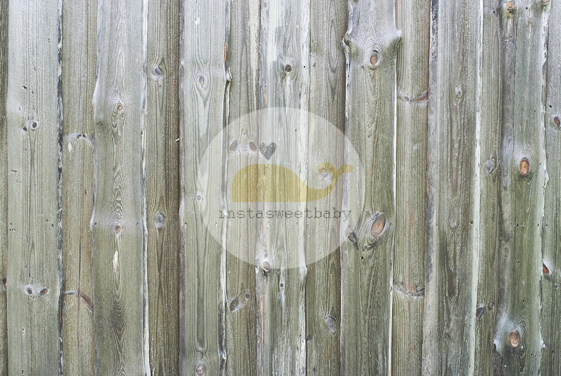 Фотофон П103