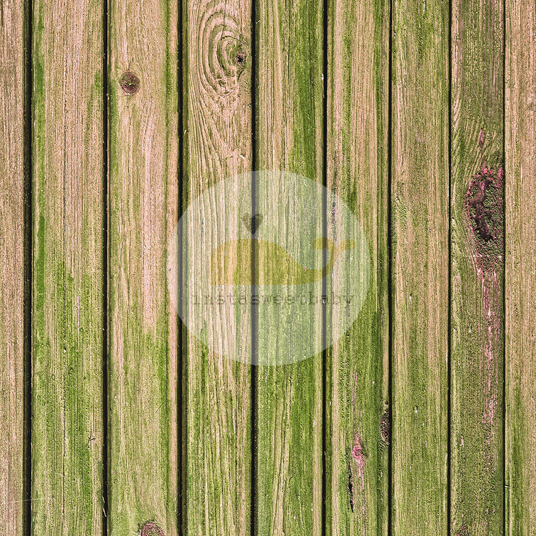 Фотофон П107