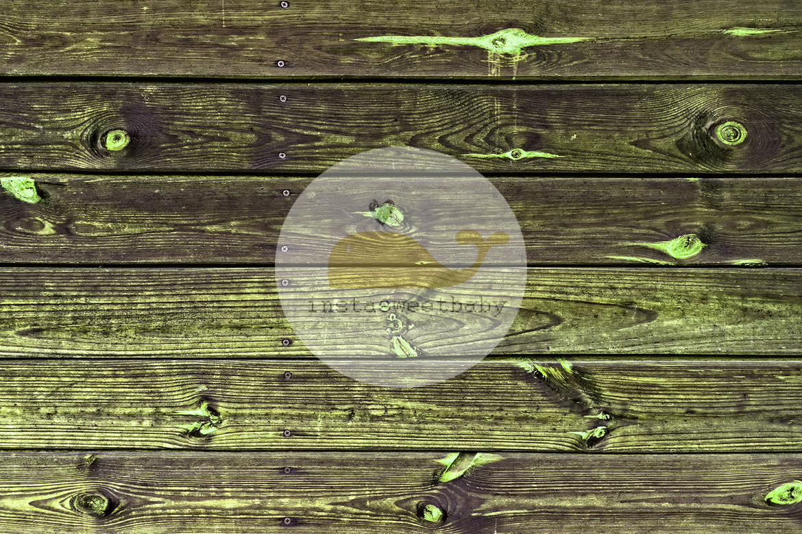 Фотофон П109