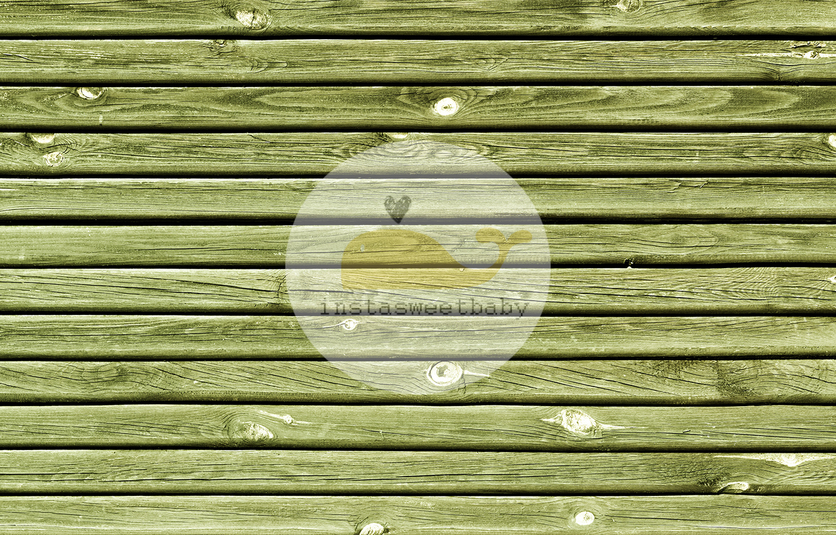 Фотофон П110