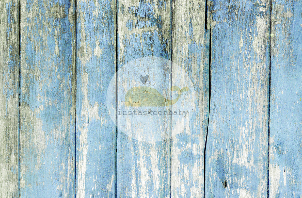 Фотофон П113