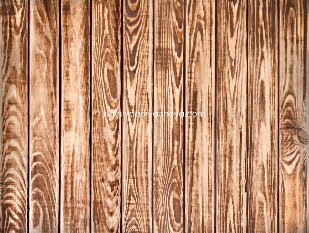 Фотофон ТД2