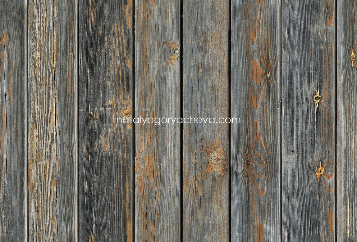 Фотофон ТД17